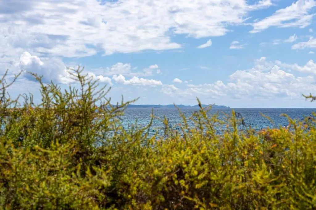 アパート M0 Practico Y Sencillo Apartamento A 100 M De Las Mejores Playas De Mallorca コロニア・サン・ジョルディ スペイン
